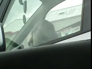 برغي منفرد بحجر كيرا المثير سكس احترافي عربي من Teen Mega World