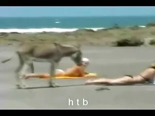 ممارسة الجنس Doggystyle مع Alexa Grace من سكس اجنبي مترجم عربي احترافي Jules Jordan