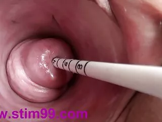 صدر الفيلم مع المحافظ Jade Kush سكساحترافي من فريق Skeet